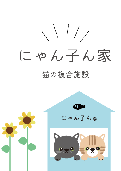 にゃん子ん家