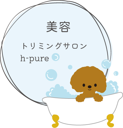 トリミングサロン エイチピュア