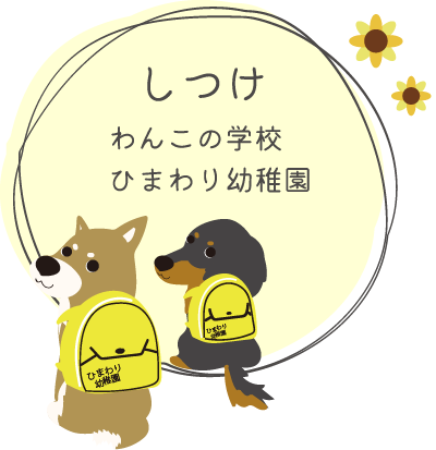 ひまわり幼稚園